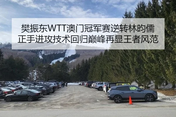 樊振东WTT澳门冠军赛逆转林昀儒 正手进攻技术回归巅峰再显王者风范